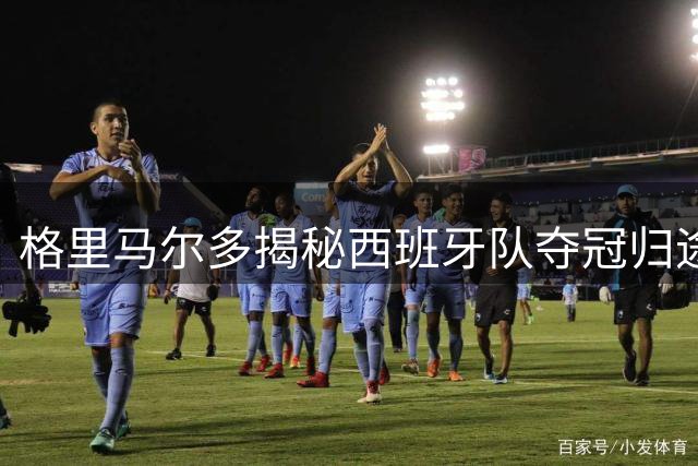 格里马尔多揭秘西班牙队夺冠归途：库库雷利亚成航班"永动机