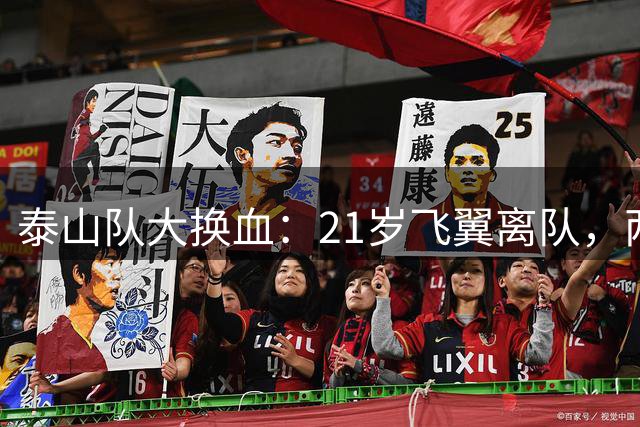 泰山队大换血：21岁飞翼离队，两年22将出走引关注