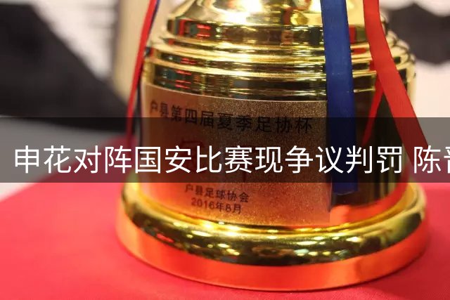 申花对阵国安比赛现争议判罚 陈晋一突破造险未获点球